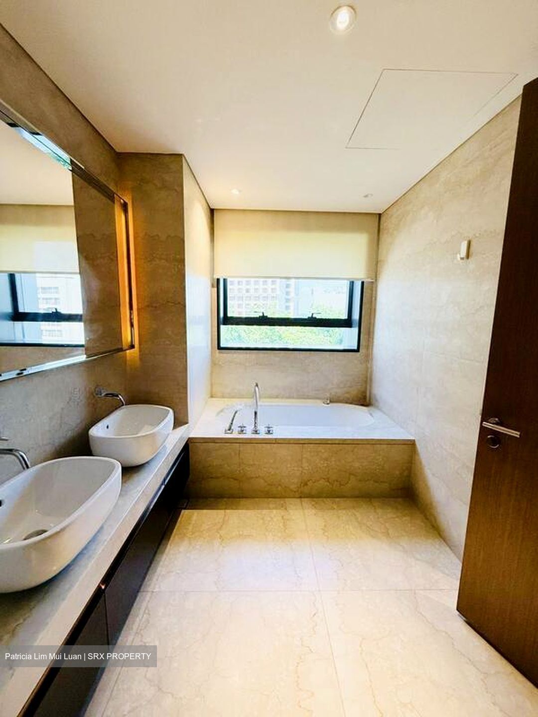 3 Orchard By-The-Park (D10), Condominium #499407551